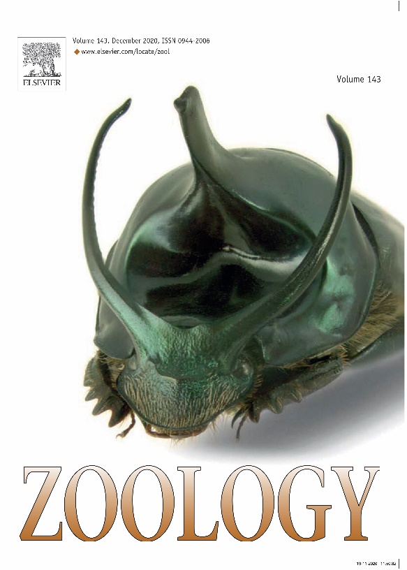 A picture containing textDescription automatically generated